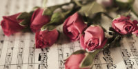 Six red roses on  musical sheet close up